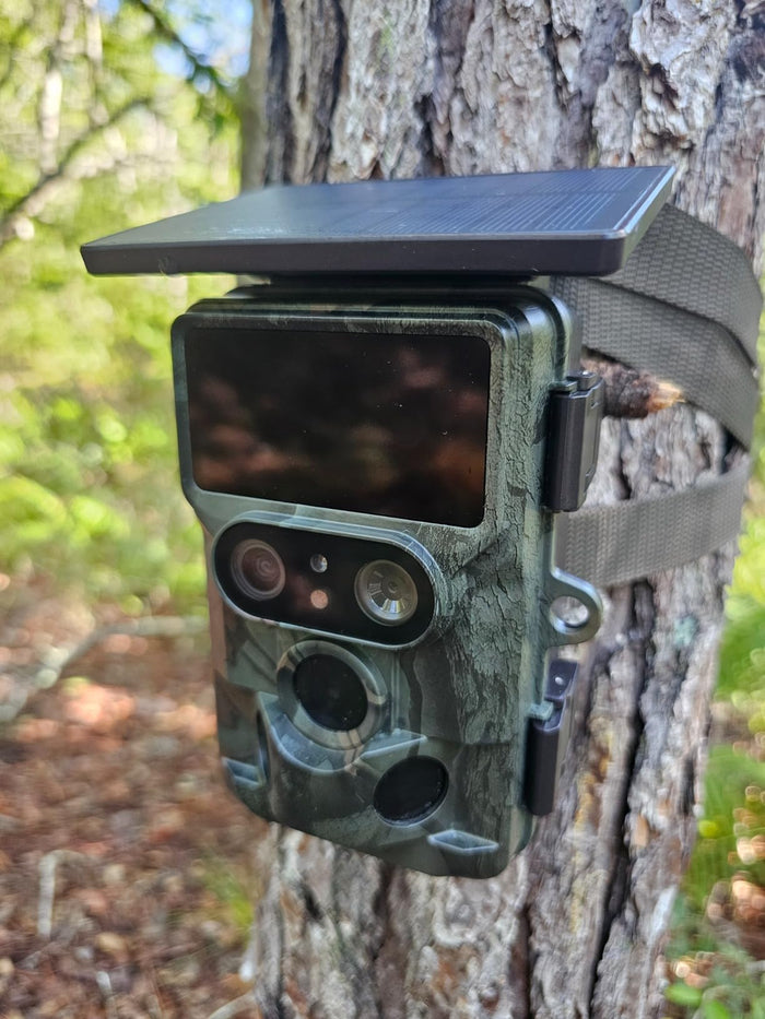 Campark TC22 Trail Camera mounted on the tree.