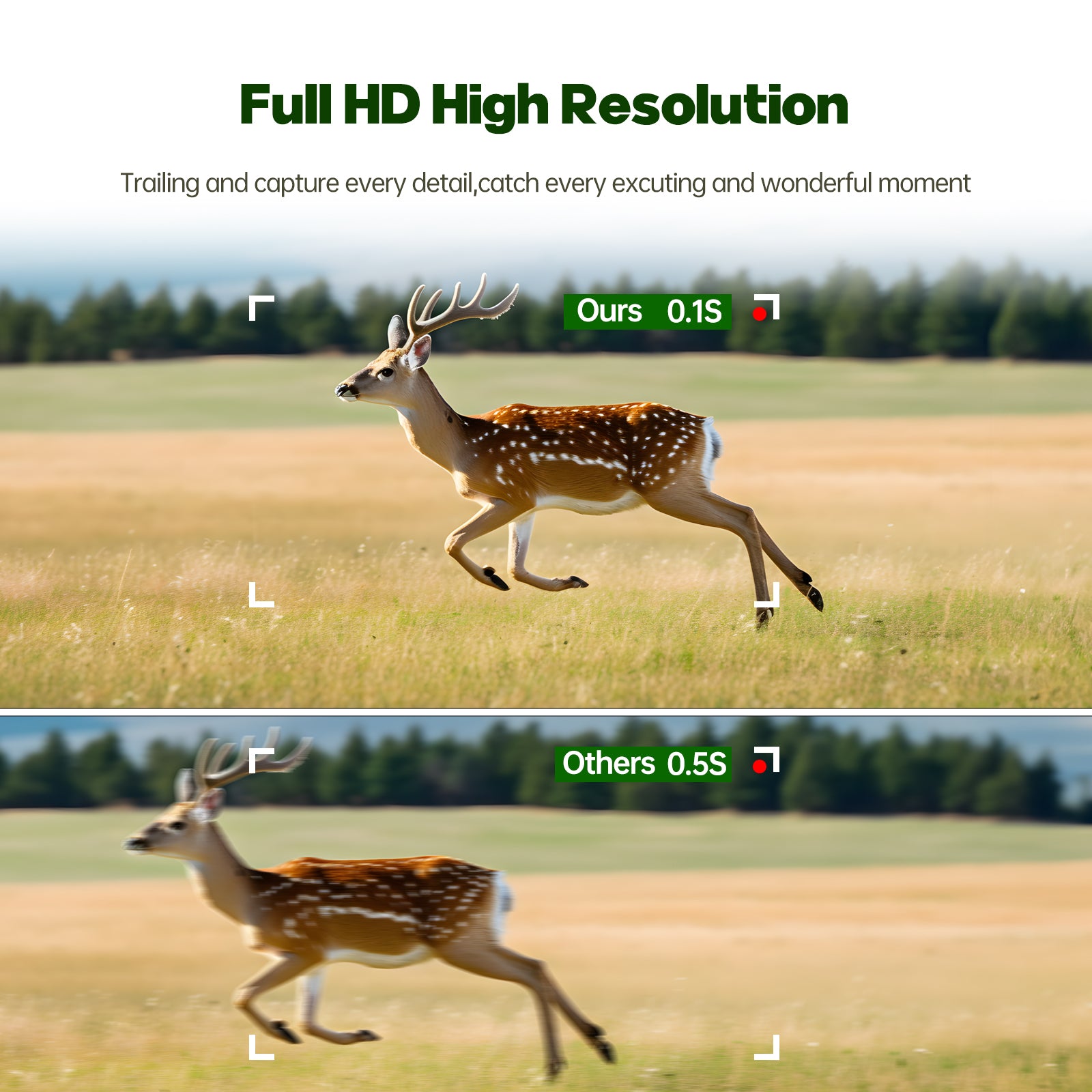 24MP 1080P 2500mAh Built-in Lithium Battery Rechargeable Solar Trail Camera