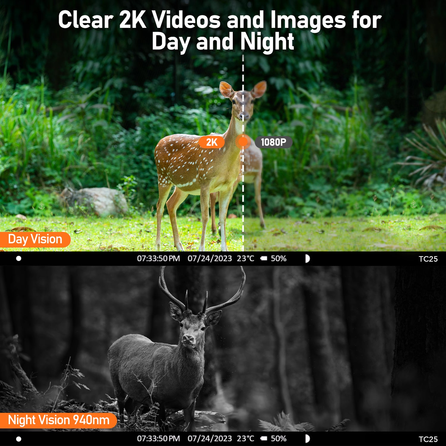 campark tc25 2k 4g lte cellular trail camera solar power wildlife camera - 3