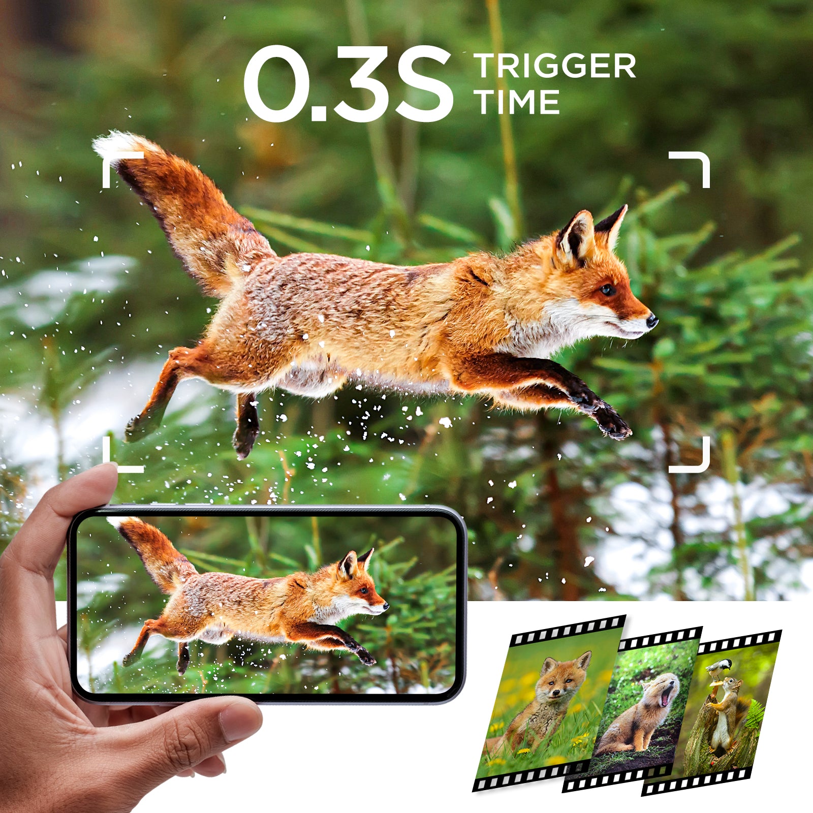 24MP Trail Camera with Night Vision